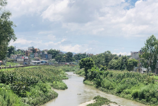 बागमती खोला किनारमा गरिएको मकै खेती